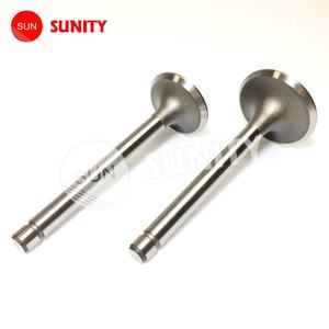 Pièce de moteur agricole TAIWAN SUNITY, soupape monocylindre - Product Image 1