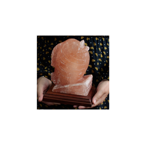 Lámparas de Sal Rosa del Himalaya 100% Orgánicas de la Mejor Calidad, Ecológicas, Talladas en Forma de Animales, Fabricante Mayorista de Pakistán - Product Image 6
