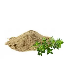 ที่ดีที่สุด100% บริสุทธิ์ Bacopa Monnieri สารสกัดจาก