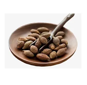 Exportação preço Barato Sterculia Lychnophora / Taiwan Goma Doce/Malva nut com alta qualidade e melhor preço