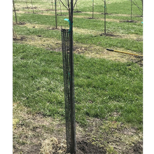 Malla de plástico que puede proteger a los árboles jóvenes de animales, destrucción en zonas <span class=keywords><strong>rurales</strong></span> y bosque - Product Image 1