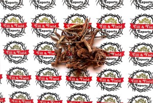 Kapas Jad - Gossypium Arboreum Root - Product Image 2