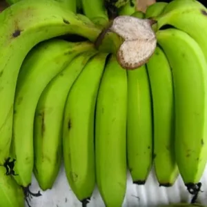 SHOCK DEAL OF GREEN BANANA FROM OUR COMPANY