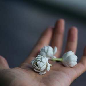 Hydrolat de Jasmine Grandiflorum de fournisseurs/exportateurs internationaux en vrac d'aromaaz en inde - Product Image 6