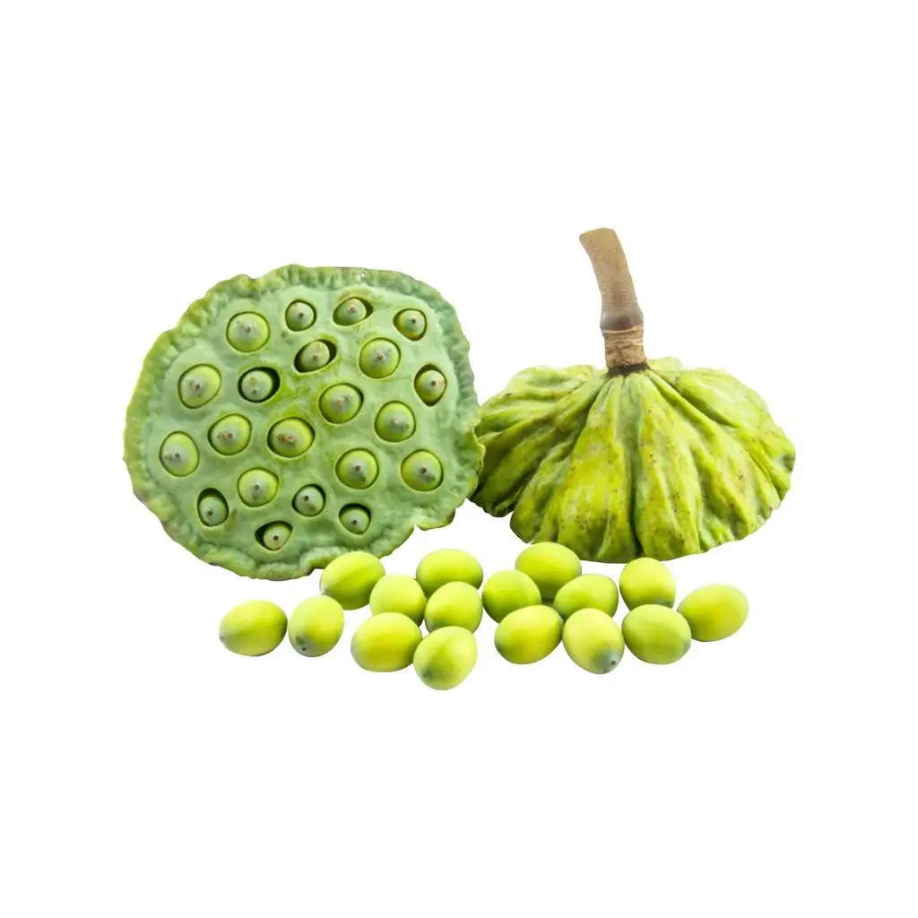 LOTUS SEED HIGH NUTRITION-ベトナム/卸売2023からの競争力のある価格で最高品質