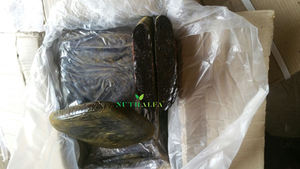 ว่านหางจระเข้,Aloes จากเหงือกบริสุทธิ์ - Product Image 6