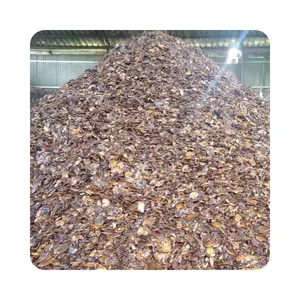 סיטונאי קשיו אגוז פגז מופק קשיו אגוז פגז חקלאי פסולת