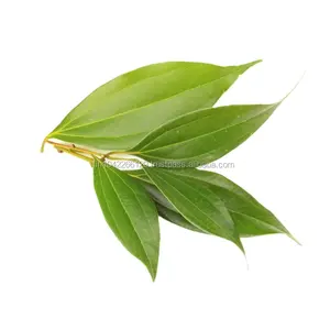 Масло Листьев корицы (Cinnamomum verum )-чистое натуральное 100% антибактериальное травяное эфирное масло