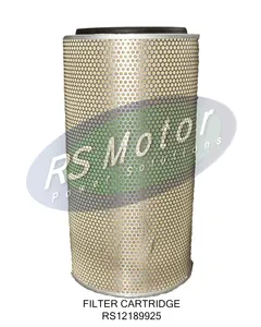 Cartucho de filtro rs 12189925 mwm motores