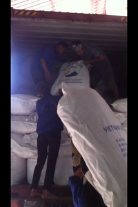 Té Verde Premium de Alta Calidad ASSAM BROCKEN para Adelgazar, a Granel, en Bolsas, de Vietnam, para Venta al por Mayor - Product Image 6