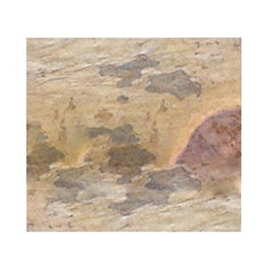 Chapa de piedra para decoración Exterior e Interior, hojas de chapa de excelente calidad, bosque fuego, la mejor oferta, 2023 - Product Image 1