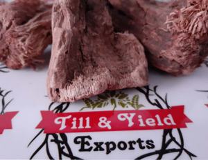 Semal - Bombax Ceiba-Raíces de algodón de seda - Product Image 3