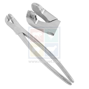 Garys C Pince d'extraction dentaire pour équins en acier inoxydable Instrument de chirurgie vétérinaire - Product Image 1