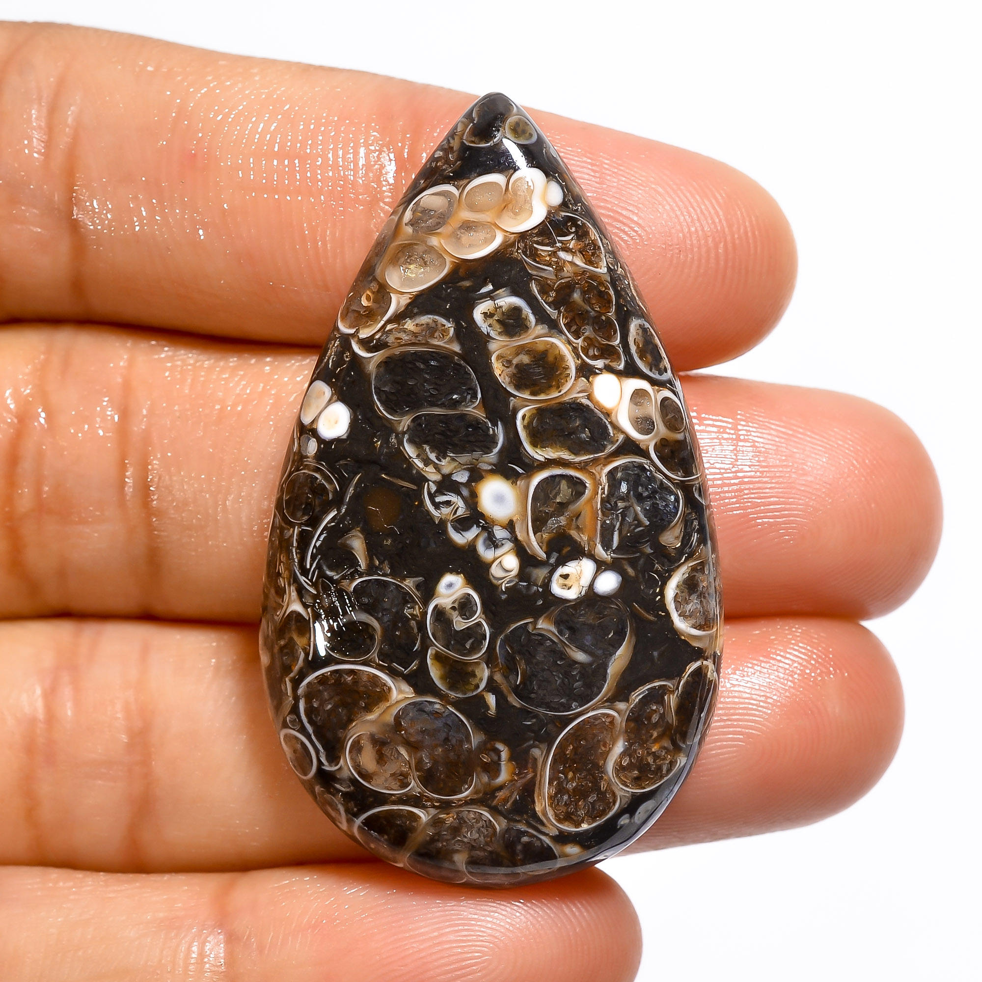 เหมือนกับภาพ