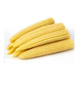 Lata de maíz en lata para bebé, lata de maíz en lata de alta calidad para la exportación, maíz estañado en Salina de VIETNAM, 99 DATOS DE ORO, el mejor precio - Product Image 2