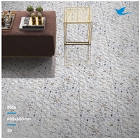 Carrelage en porcelaine polie antidérapant de haute qualité 60x60CM pour salle de bain et jardin, prix abordable, livraison en Inde