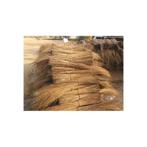 มะพร้าวแท่ง /Brom ติดในราคาขายส่ง99ทองข้อมูล - Product Image 1