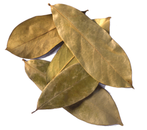 Extracto de hoja de Graviola orgánica de alta calidad/Hojas de Guanábana secas Origen Vietnam / Shyn Tran - Product Image 1