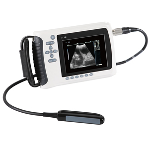 Échographe portable numérique médical MT, échographe portable pour vétérinaire, meilleur appareil d'échographie à domicile pour le <span class=keywords><strong>test</strong></span> <span class=keywords><strong>de</strong></span> <span class=keywords><strong>grossesse</strong></span> des vaches - Product Image 3
