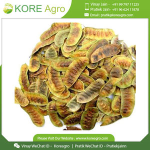 Hojas y vainas de senna 100% naturales, secadas al sol, de primera calidad. Compre en India a precio económico. - Product Image 2