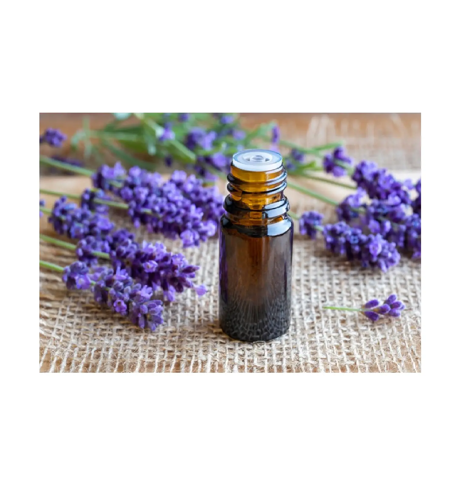LAVENDER ESSENTIAL OIL FROM NATURAL TEA TREE/ LAVENDER ESSENTIAL OIL (Jasmine: 0099 GOLD DATA)
