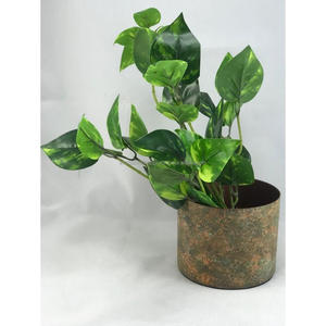 Juego de Macetas Rectangulares de Hierro con Recubrimiento en Polvo, Duraderas, Decoración para Hogar y Jardín, Estilo Vintage, Macetas para Interiores y Exteriores, Soportes para Macetas, Vivero - Product Image 4