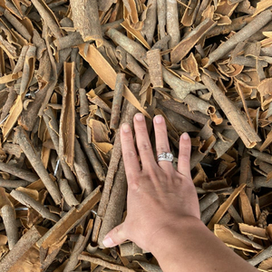 Canela Cassia de Primera Calidad |   Palitos de Canela Seca AD |   Hierbas y Especias Individuales |   Venta al por Mayor a Granel y Listo para Exportación - Product Image 4