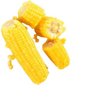 Maïs jaune biologique frais du Pakistan, maïs sucré cru de qualité supérieure, graines en vrac dans des sacs de 50 kg - Product Image 5