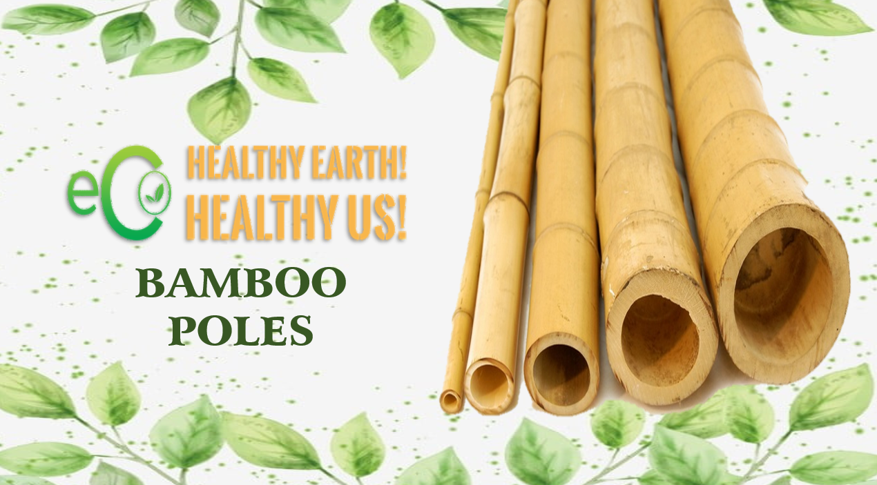 Wholesale Raw Material 2022 Bamboo Pole For Construction Vietnam From High Quality Bamboo And Good Price From Eco2go Vietnam