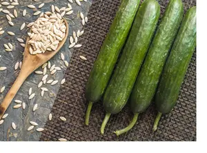 TaengkwaThai Cucumber  Vegetable Seeds Good Quality Seed Free Shiping 100 