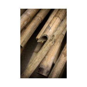 Tube de poteau en bambou au meilleur prix du Vietnam Matériau en bambou naturel durable de haute qualité pour de multiples applications - Product Image 6