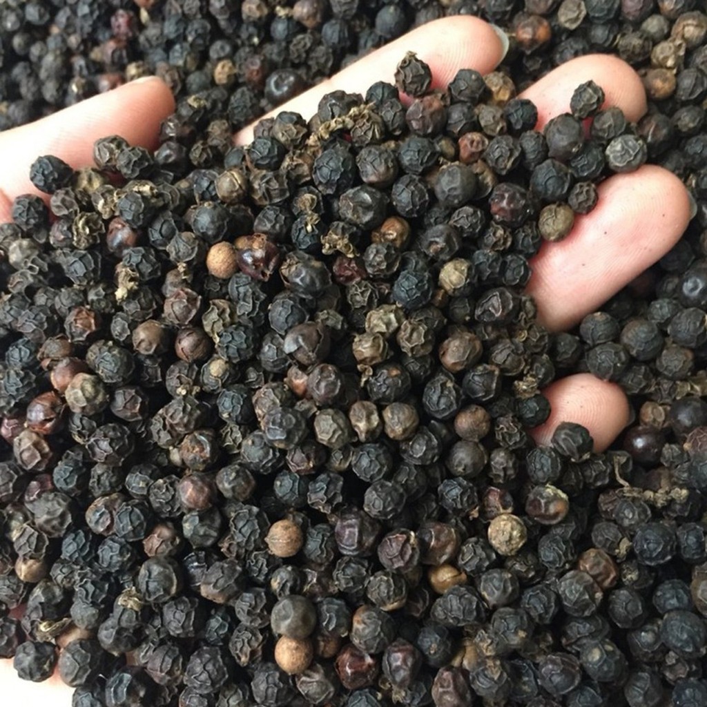 WHATSAP 0084 989 322 607 Vietnam Black White Pepper Spices AD Chilli & Pepper Single Herbs & Spices