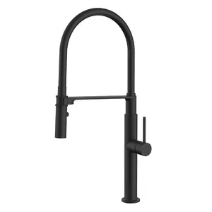 Commercial Single Handle UPC Pull Out Spring Sprayer Kitchen Taps High Arc Water Filter Sink Faucet Black Kitchen Faucet