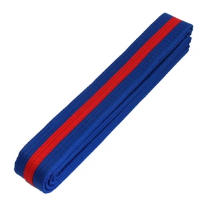 Cinturones de karate de alta calidad para hombre, bordado personalizado, todos los tamaños, de color, taekwondo, judo - Product Image 4