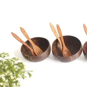 Sinh thái sản phẩm Alibaba gỗ thủ công mỹ nghệ kỹ thuật thiết lập của dừa bát và muỗng Vegan trang trí biểu tượng tùy chỉnh đánh bóng vỏ dừa bát