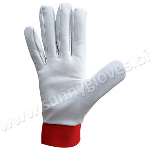 Assembly <b>Gloves</b>, Working <b>Gloves</b>, Goat Leather <b>Driver</b> <b>Gloves</b> - Product Image 2