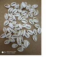 Petites perles de coquillages naturelles avec trous, écologiques, faites à la main pour les créateurs de bijoux et les magasins de perles