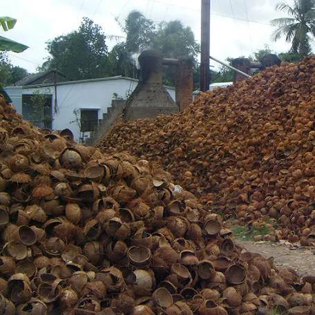100% 원시 코코넛 쉘 최고의 가격 만들기 숯