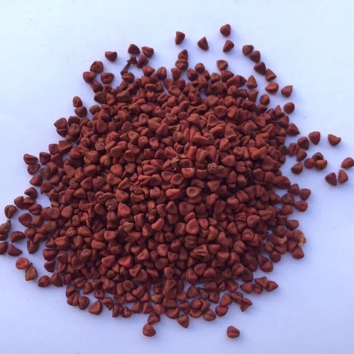 Hele Annatto/Bulk Prijs Kruiden/Ms. Laura/Whatsapp + 84 91 850 9071