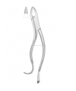 Forceps d'extraction dentaire manuels en acier, modèle américain - Product Image 1