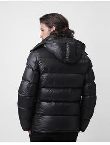 2020 OEM vente en gros veste de randonnée en peluche pour hommes mince hiver vers le bas avec col montant - Product Image 6