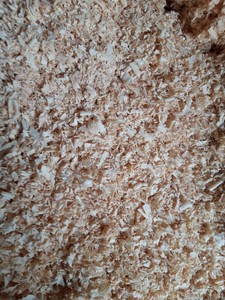 Rasage en bois de pin, poussière de bois, déchets pour literie d'animaux, meilleure vente, - Product Image 3