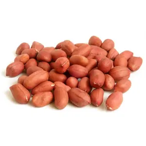 Organic roasted Peanut Dried Peanuts Ground nuts for sale