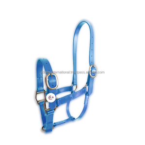 Los mejores accesorios ecuestres finos de cabestro de doma de caballos estilo sillín inglés del fabricante directo de mayorista Material PP - Product Image 1