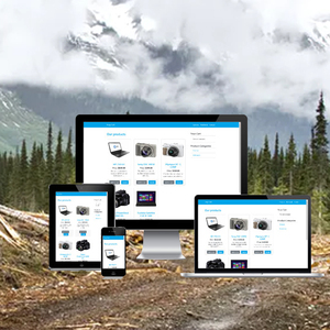Custom PHP programming & Website Development Company | Best Website Design Company | Website Development Services by Webroot - Product Image 1
