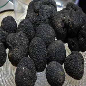 La Truffe Noire du Perigord Fraiche 100 g sous vide (en 2 sachets separes) 以最优惠的价格从法国出口世界各地