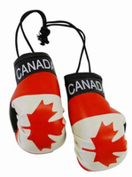 Mini ballon de football de haute qualité, porte-clés personnalisé avec logo d'entreprise, drapeau national, accroche pour rétroviseur de voiture, gants