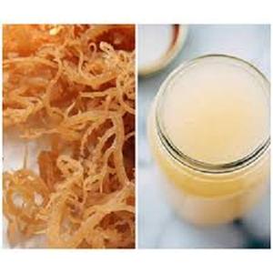 Alga Marina Silvestre Seca y Sazonada en Bolsa para Venta al por Mayor-Ivy +84977157110 - Product Image 3