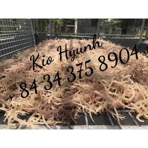 Musgo de mar, producto de allthy de Vietnam/Ms KIO HUYNH + 84 375 de 8904 - Product Image 3