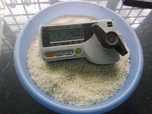 Arroz Japonica Calrose Seco y Suave, Ideal para Preparar Sushi en Japón, Proveedor de Vietnam - Product Image 4